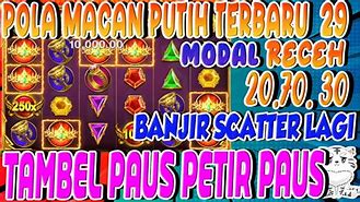 Pola Slot Zeus Gacor Hari Ini